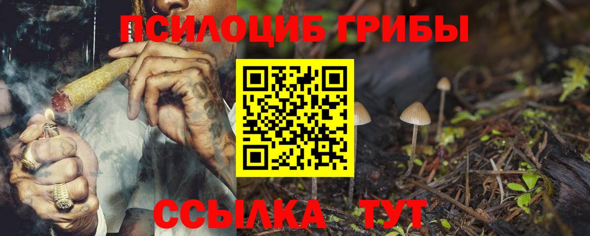 Псилоцибиновые грибы прущие грибы  наркошоп  Дзержинск  Вход с VPN  Галлюциногенные грибы мухоморы 
