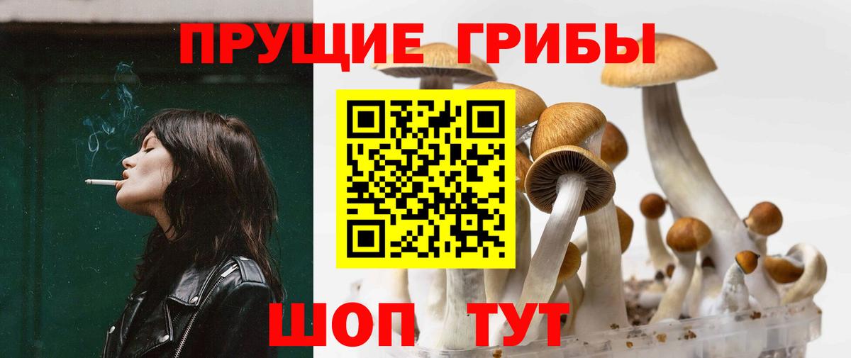 Псилоцибиновые грибы MAGIC MUSHROOMS Дзержинск
